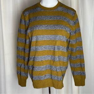 Banana Republic Merino Extra Fine Wool Stripe Crew Neck Sweater